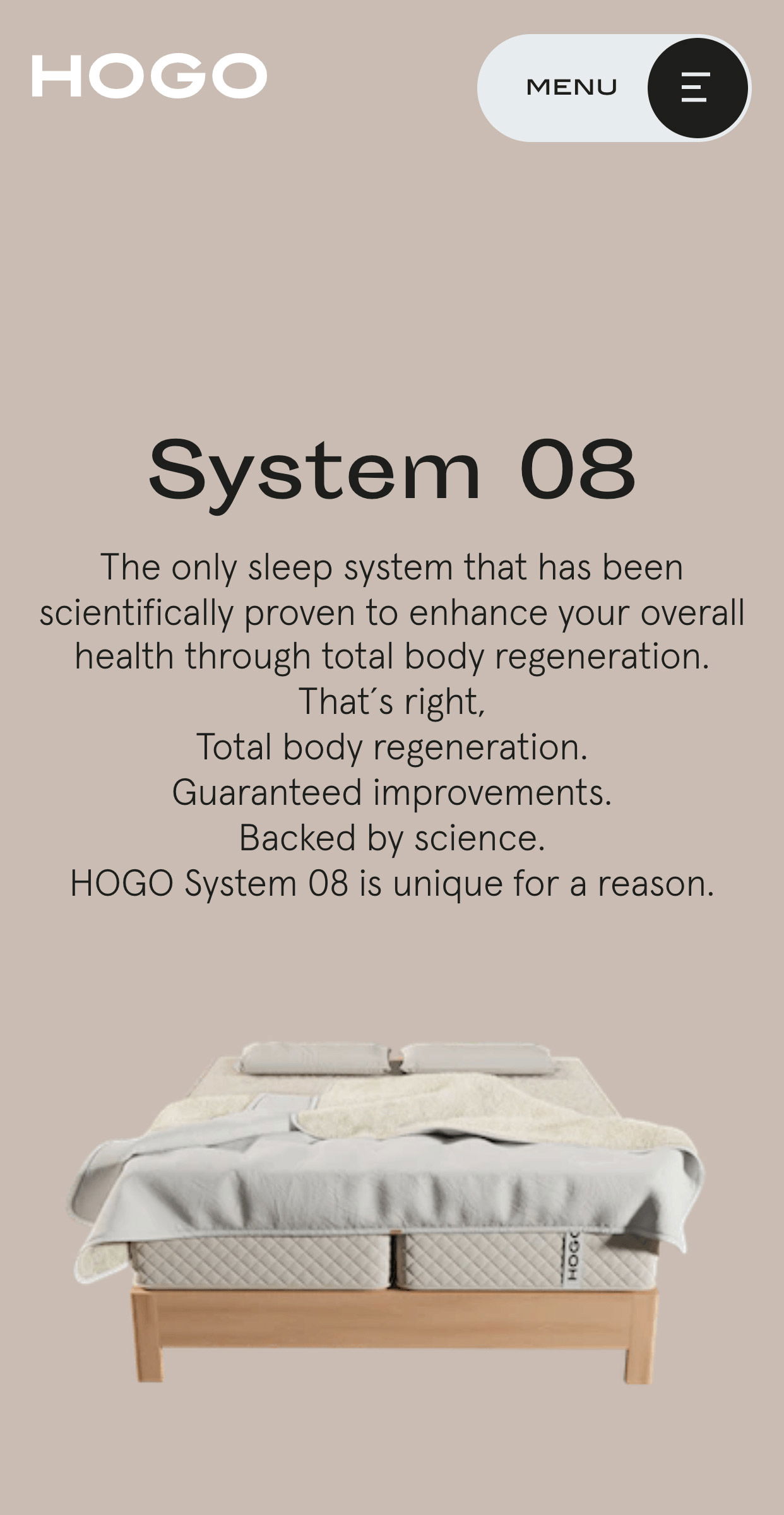 Hogo System